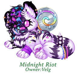 Midnight Riot