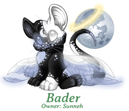 Bader