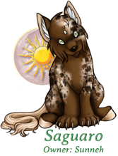 Saguaro