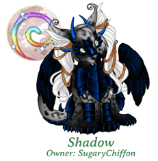 Shadow