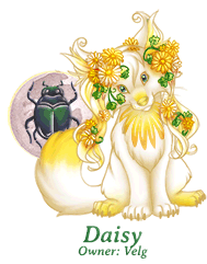 Daisy