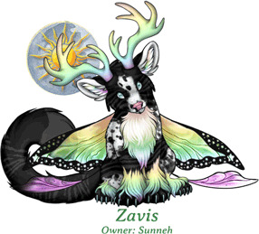Zavis