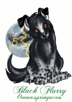 Black Flurry