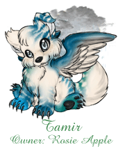 Tamir