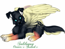 Soliloquy