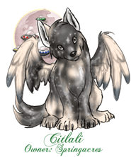 Citlali