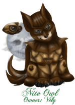 Nite Owl