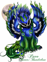 Pavo