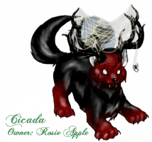 Cicada