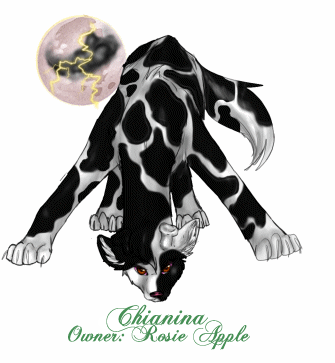 Chianina