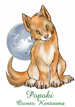 Popoki