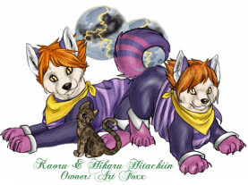 Kaoru & Hikaru Hitachiin