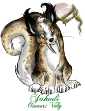 Jakodi