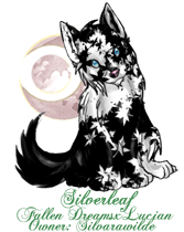 Silverleaf