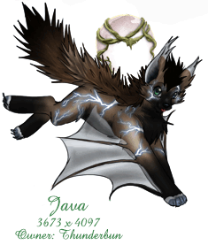 Java