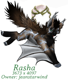 Rasha