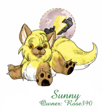 Sunny