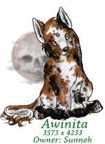 Awinita
