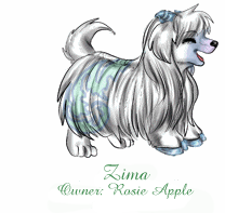 Zima