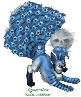 Cyanocitta