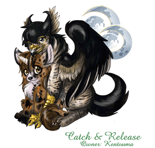 Catch and Release