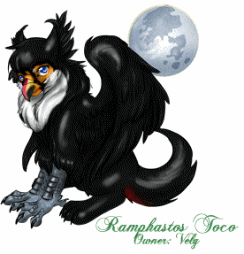 Ramphastos Toco