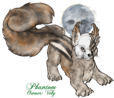Phantom