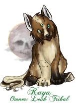 Kaya