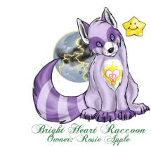 Bright Heart Raccoon