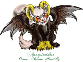 Accipitridae