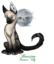 Braxton