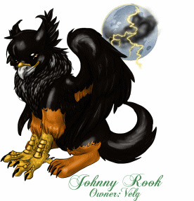 Johnny Rook