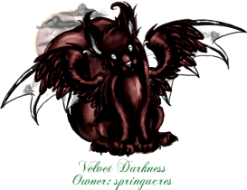 Velvet Darkness