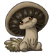 Portabella Shroomba